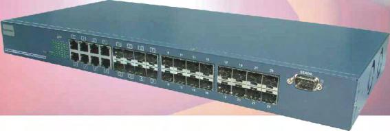 TECH MGS2924G MGS2924G: 16-Port SFP + 8-Port Combo GbE Key Features 24-Port Gigabit SFP high port count fiber switch 9KB jumbo frame support IEEE 802.