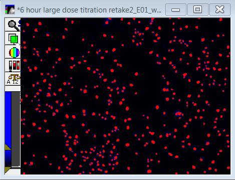 Hover the mouse cursor over nuclei and read the intensity displayed at the bottom