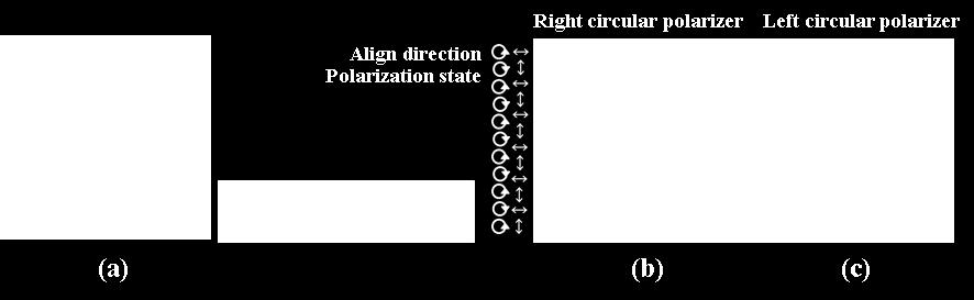 Figure 4 EL images of patterned poled with QWP (a) without a circular polarizer and with (b) reight- and left-handed circular polarizers For 3D display, we should produce the images which have the
