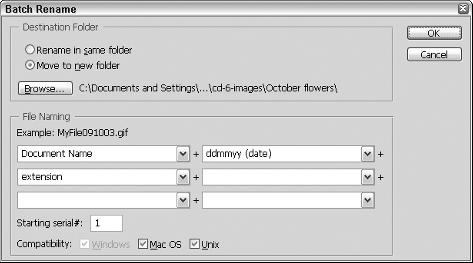 ) Also, you can add up to six different additions to each filename, such as a serial number or letter or month/day/year. Follow these steps to rename multiple files at once: 1.