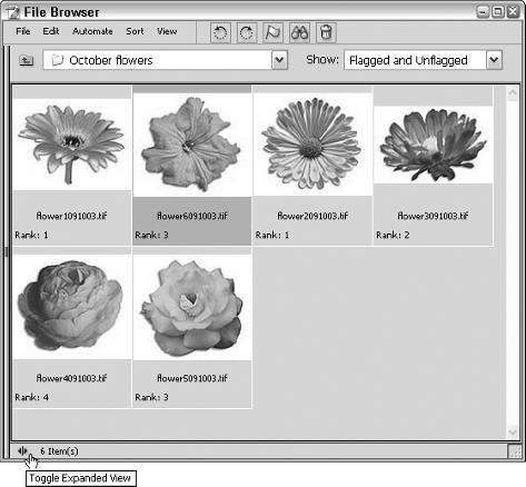 14 Technique 1: Organizing Image Files and Managing Projects 4. Click OK. To view the image ranks, choose View Show Rank from the File Browser menu.