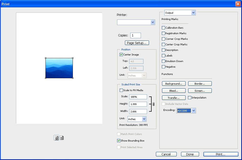 MANAGING COLOR IN ADOBE PHOTOSHOP 34 TO PRINT OBJECTS FROM PHOTOSHOP 1 Choose Print (or Print with Preview in Photoshop CS2) from the File menu. The Print dialog box appears. 2 Choose Output.