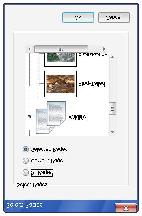 PNG File When Whiteboard pages are saved as Image files (.