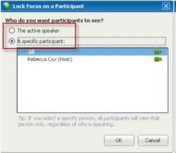 In the Lock Focus on a Participant dialog box, select one of the following: The active speaker. This is the default. The display focuses on the current speaker and changes as the speaker changes.