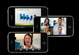 smartphone into a mobile video conference system.