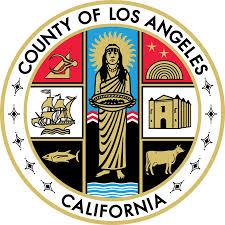 LOS ANGELES COUNTY SHERIFF S DEPARTMENT REQUEST FOR INFORMATION RFI