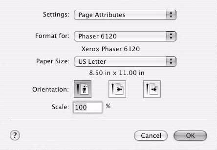 Page Attributes Options The Page Attributes section is used to specify the settings for the paper size, scaling, and print orientation.