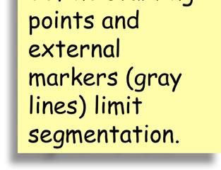 external markers (gray