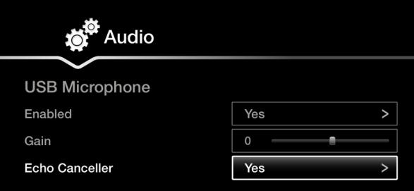 Figure 45: Connect USB audio devices to lower USB port To enable an USB audio device as microphone input, browse to [GUI] CONFIGURE >ADVANCED>I/O CONNECTIONS>AUDIO-INPUTS>USB MICROPHONE [WEB]