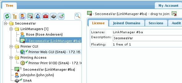 We can choose to simply drag the license into the LinkManagers domain.