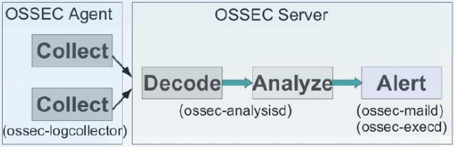 Ossec Internal Components Analysisd Does all the analysis (main process) Remoted Receives remote logs from agents Logcollector Reads log files (syslog, Flat files, Windows event log, IIS, etc) Agentd