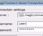 Remote device setup/operation [Windows] [2/5] Initial setup and connection for the MagicConnect viewer Enter the MagicConnect server information in the Server box.