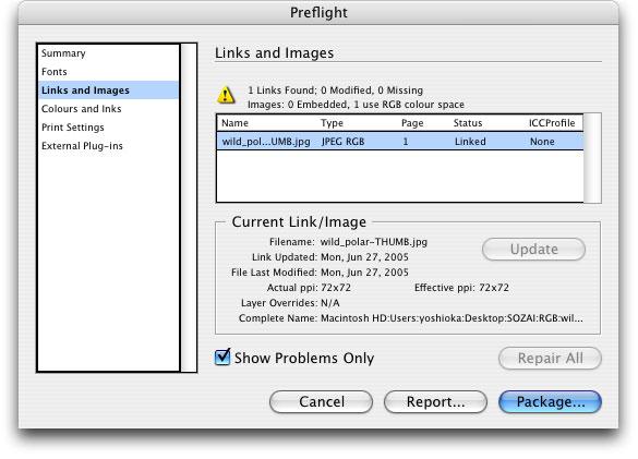 Before saving data in the PDF format, a preflight is performed in InDesign to check for any RGB image included in the data. Select File /s Preflight.