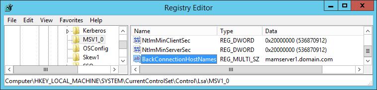 Configuring Interplay MAM for Fully Qualified Domain Names 3. Right-click MSV1_0, point to New, and click Multi-String Value. 4. Type BackConnectionHostNames and press Enter. 5.