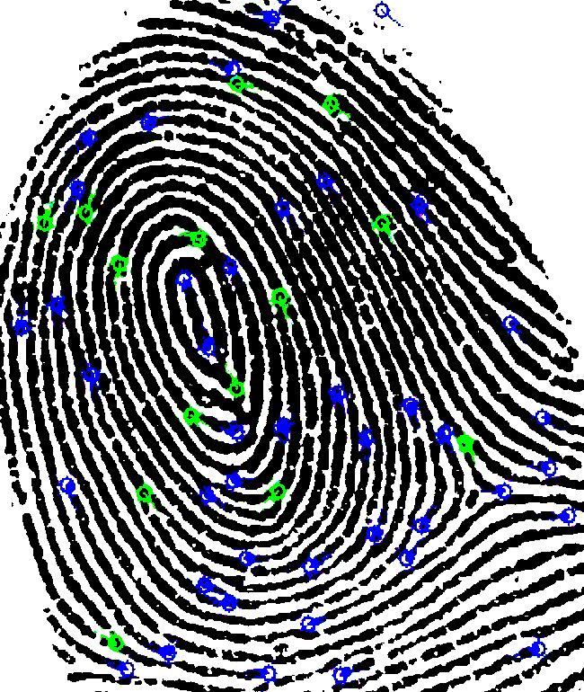Biometric data in US.