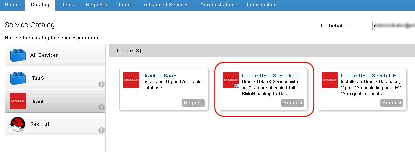 A service to ensure the Oracle Database starts and shuts down with the virtual machine A service to install an agent to register the Oracle Database with OEM Cloud Control 12c A service to unmount