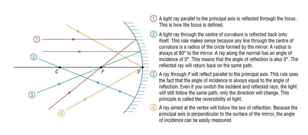 Constructing Ray Diagrams 1. P ray: A light ray parallel to the principal axis is reflected through the. This is how the focus is defined. 2.