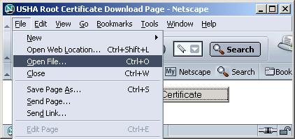 4. When the downloading is finished, please close the download message box and launch the Netscape