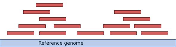 RNA-seq workflow III Short read alignment Goal: determine the origin of sequenced