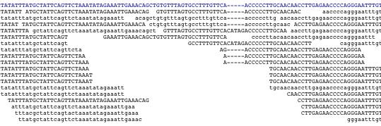 RNA-seq workflow III Short read alignment