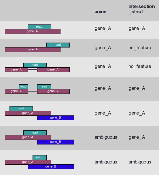 RNAseq-workflow IV - quantification of expression Questions and pitfalls when counting mapped reads Consider multiply