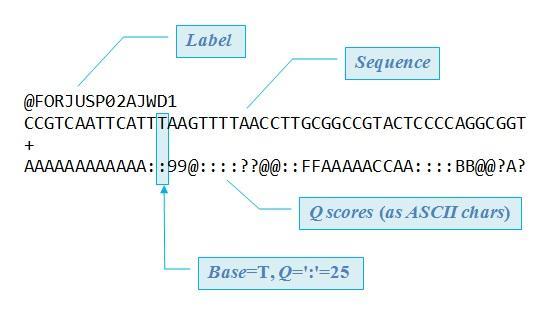 RNA-seq workflow II FASTQ the sequencing
