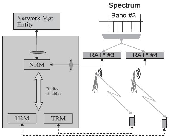 In other words, the dynamic spectrum sharing use case describes how fixed frequency bands are shared and/or used dynamically by RANs and Terminals.