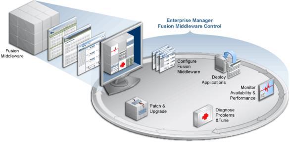 5. IDM Suite 11.1.1.9 Enterprise Manager EM enables you to configure and manage all Oracle products from one user interface.