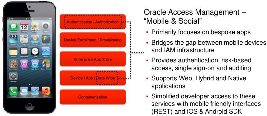 6. IAM Suite Oracle Access