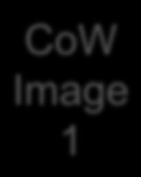 Image 2 CoW