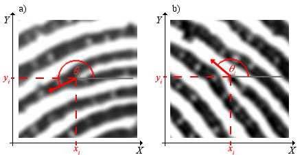 The shape of the fingerprint is generally used to pre-process the images, and reduce the search in large databases.