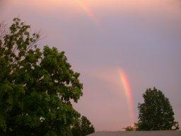 Polarization of rainbows Rainbows involve reflection and