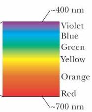 Visible Light Different wavelengths correspond to different