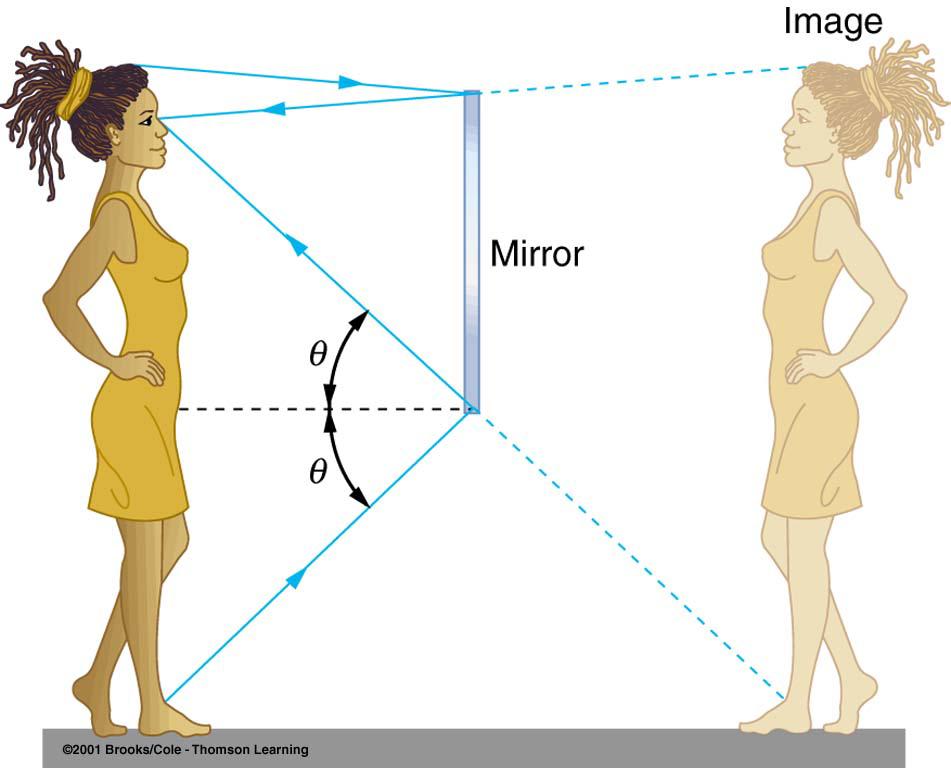 How long does a mirror have to be to see your entire image in? Suppose a woman stands in front of a mirror as shown. Her eyes are 1.65 m above the floor, and the top of her head is 0.
