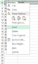 selected row. Inserting a Column When new columns are inserted into a sheet they are inserted to the left of where the pointer is positioned.