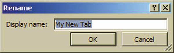 bottom right. In the Rename dialog box that appears, Key My New Tab, as shown in Figure 2-16.