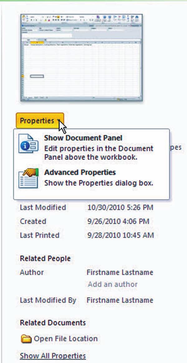 Figure 2-21 Document properties Info button in navigation pane Document Properties 4.