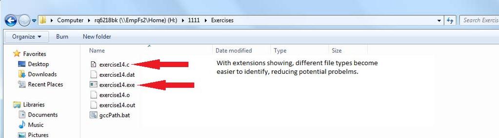 Appendix - Showing File Extensions.