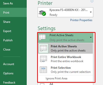 This will display options allowing you to print the active sheet, the entire workbook, or just a selected area of a worksheet.
