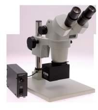 com SPZ-50 Stereo Zoom Binocular Microscope on Stand PLED Magnification Range: 6.7x to 50x Large Zoom Ratio: 7.46:1 26800B-371 Field of View: 34.3mm to 4.6mm (1.35" to 0.