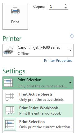 BSBITU304A Microsoft Excel 2013 Print a Whole Workbook All worksheets in a workbook can be printed at once. 1. Click on the tab File Print 2.