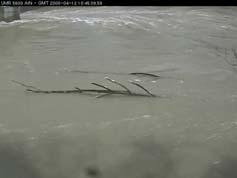 Unsupervised Video Analysis for Counting of Wood in River during Floods 583 existence in the consecutive frames of video.