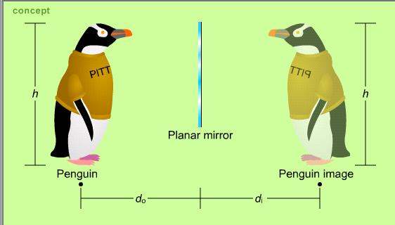 What the Penguin sees h o Θ r Θ i h i s o object distance s i image distance The penguin sees a