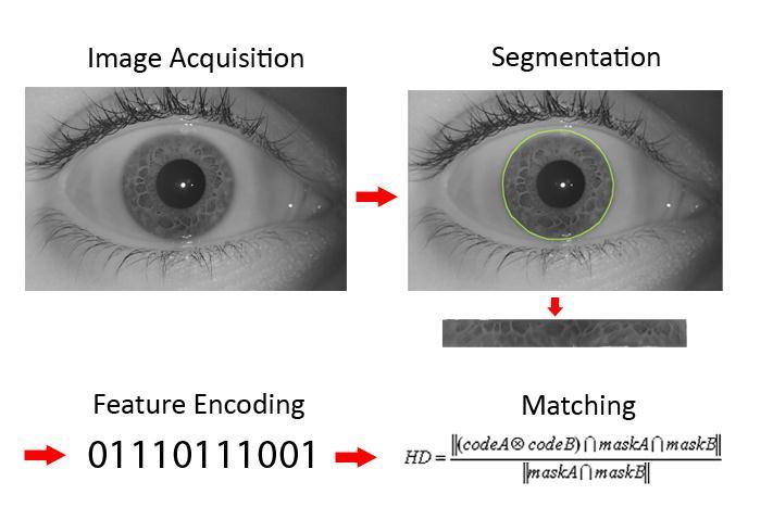 Iris biometric Standard iris images are
