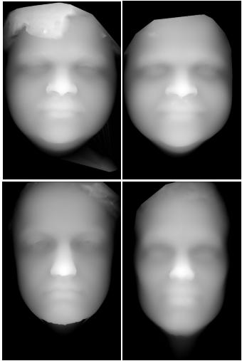 Figure 1. The figure shows examples of the range images that were employed for the study. The images have been preprocessed to remove noise and holes.