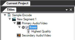 The Highest Quality template is applied to your segment by default. The check box indicates that you would like to encode this video when you submit the batch for encoding.