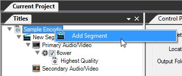 Adding segments To add additional source video files to your project, you need to add additional encoding segments to your Titles tree.