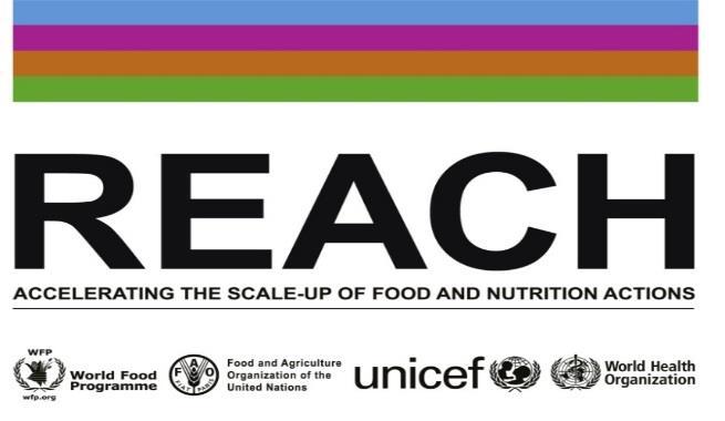 The Role of the UN System in support of Nutrition including the REACH