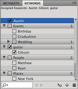 Opening a file from Adobe Bridge 4 With the guitar keyword still selected, click on the New Sub Keyword button ( ). Type Gibson into the active text box, then press Enter (Windows) or Return (Mac OS).