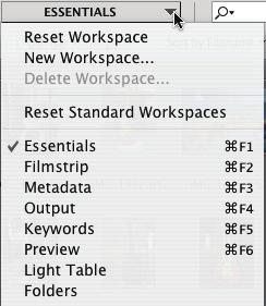 Creating and locating metadata 2 Choose Window > Workspace >Reset Standard Workspaces. This ensures that you are in the Essentials view and that all the default panels for Adobe Bridge are visible.
